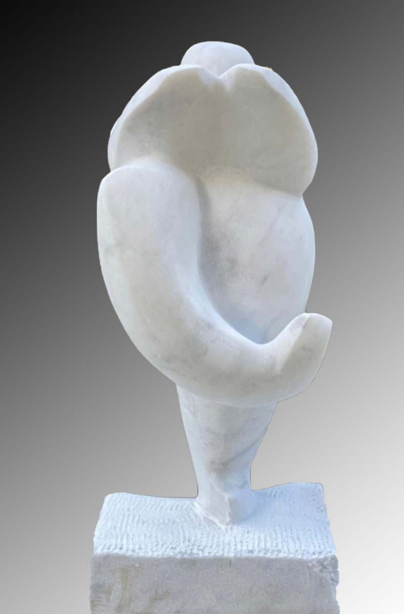 Tai Chi II (front view)