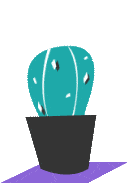 Cactuss-Photo-min.gif