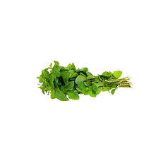 mint.jpg