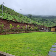 lawn-area.jpeg