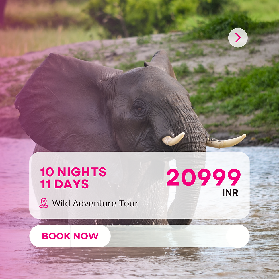Pink Panda Gujarat Packages (2).png
