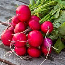 radish.jpg
