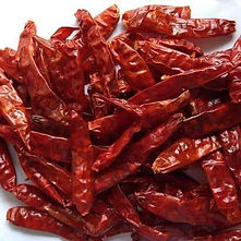 Chili-pepper.jpg