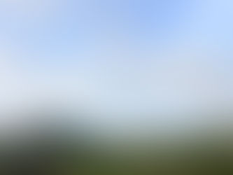 Oportus blog June 2023