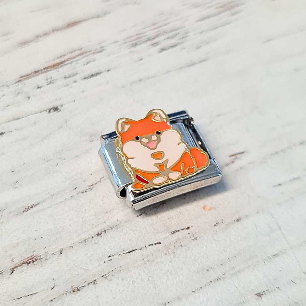 Miniatura: Dije Perro Shiba Inu