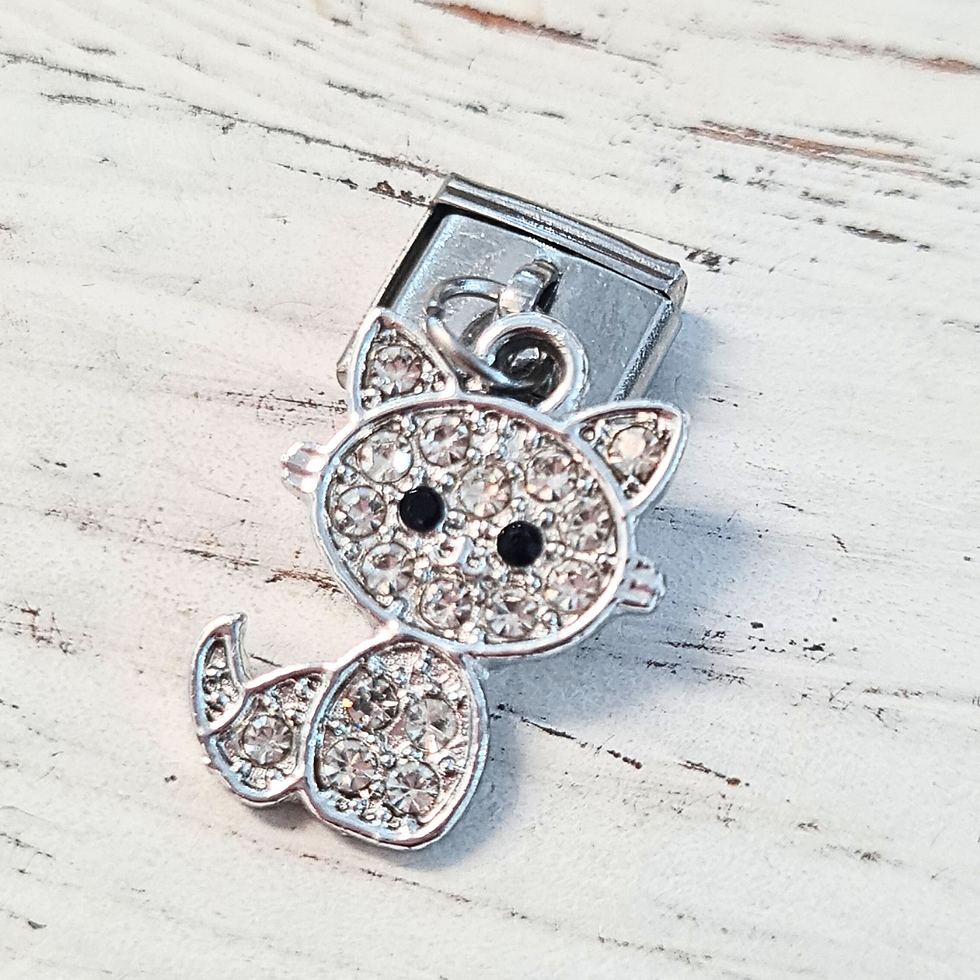 Miniatura: Dije Gato