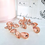 Miniatura: Aretes Alessia Rose Gold