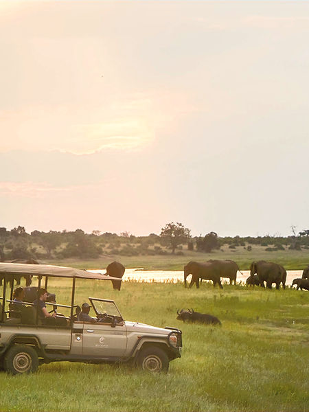 Elephants - Victoria Falls Serious Fun Travel_edited.jpg