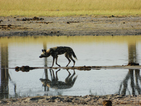 DSCN6027.JPG