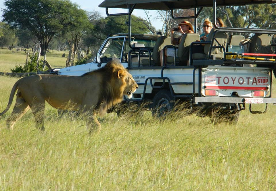 Best africa game drive.jpg