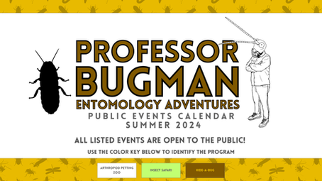 Public Events - Summer 2024