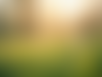 Seasonal Routines: Balance Your Life with Ayurveda