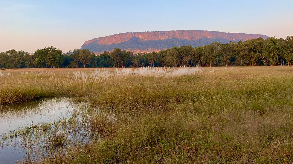 bandhavgarh (2)