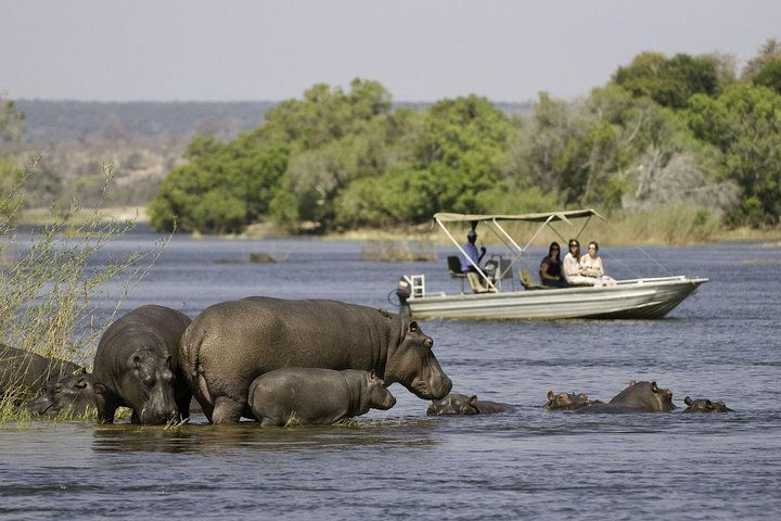 Cruise Chobe.jpg