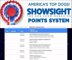 ShowSightRankings2020LogoA