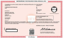 OFAbasicCardio