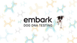 Embark Tested