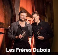 309611919_629937928602140_72253807159894