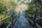 MDC Broadwalk
