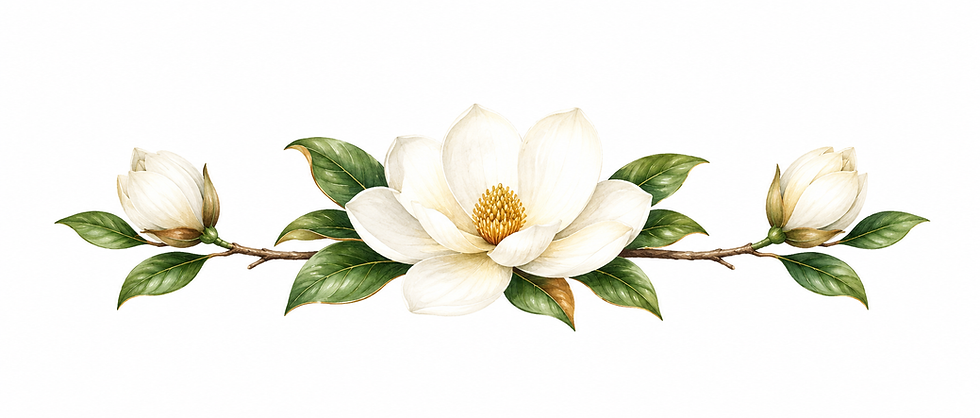 4ebcb210-66ae-4b1a-8666-fbc7268109ad.png