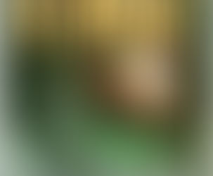 Final Kindle Books Summer Giveaway