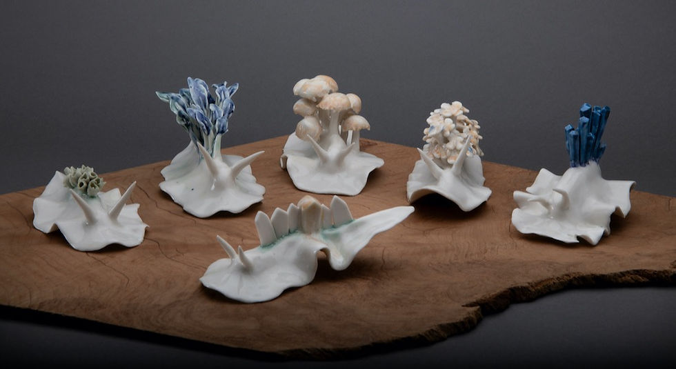 Nudibranch Group_edited.jpg