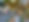 IMG_2299.jpeg