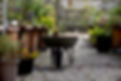 australia-melbourne-wheelbarrow-on-path-at-commu-2024-07-05-03-24-34-utc.jpg