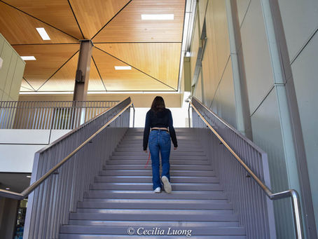 composition in photography ˖°📷 ༘ ⋆。˚