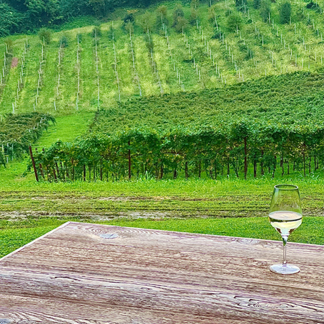 Prosecco Hills of Italy.