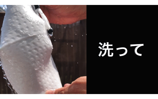 タイトルなし.gif