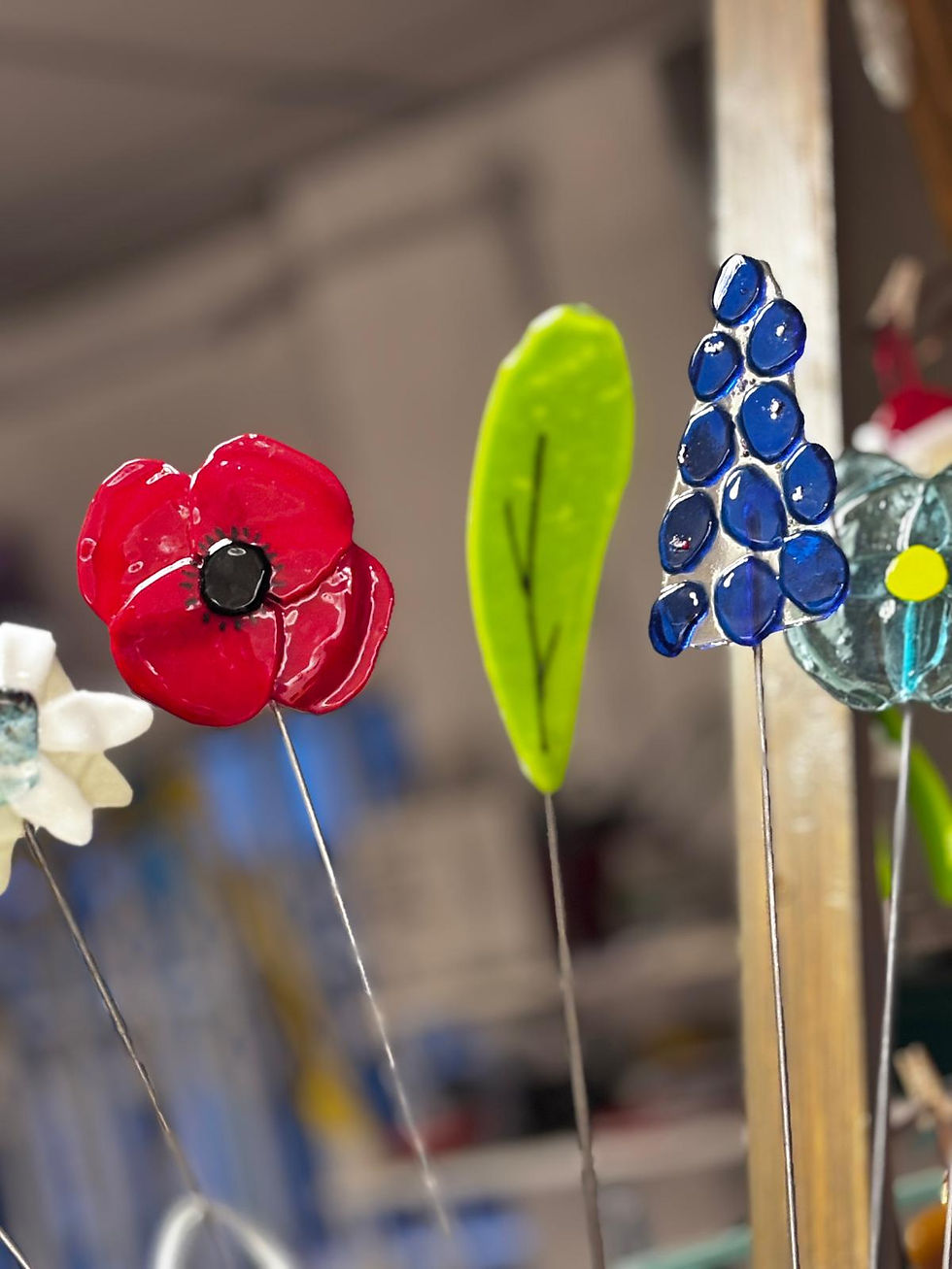 WhatsApp Image 2026-01-03 at 16.25.17 (2)