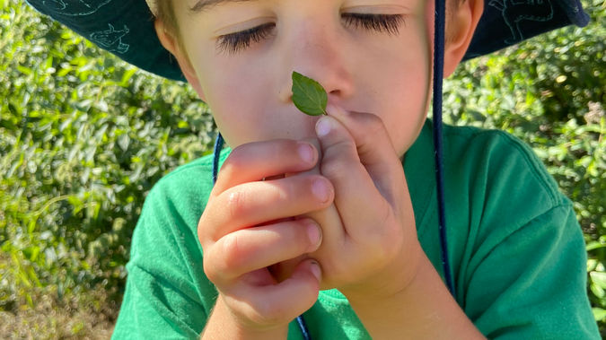 Exploring the Senses