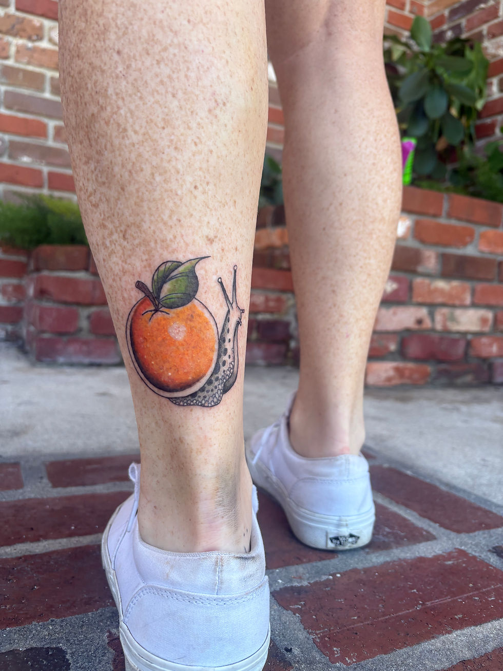 Orange Snail by Morgan