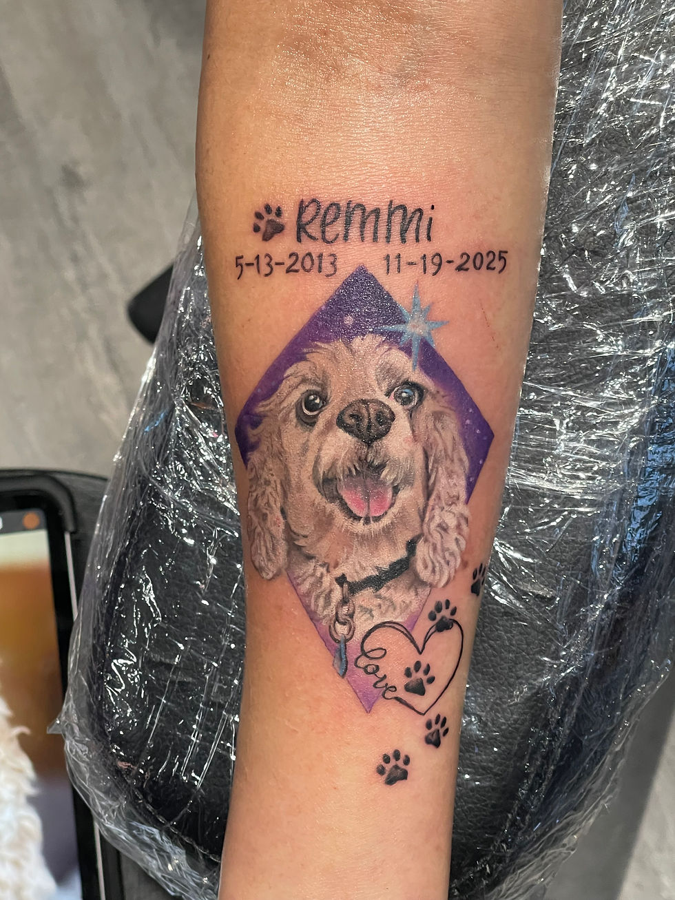 Dog Portrait by Lita