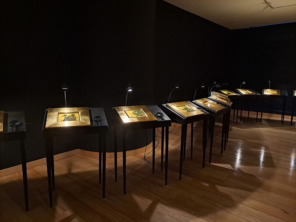 Club El Nogal Ago 2025