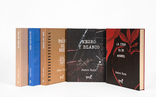 Colección Bitacora de Vuelos (22x18x12,5) 5 libros_2024_14.jpg