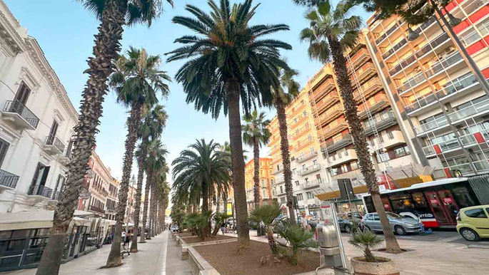 Bari