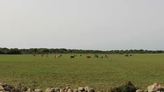Giara Plateau