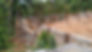 p8.jpg