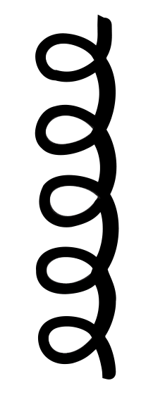 curly-hair-vector.png