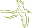 Sea Birds_3x.png