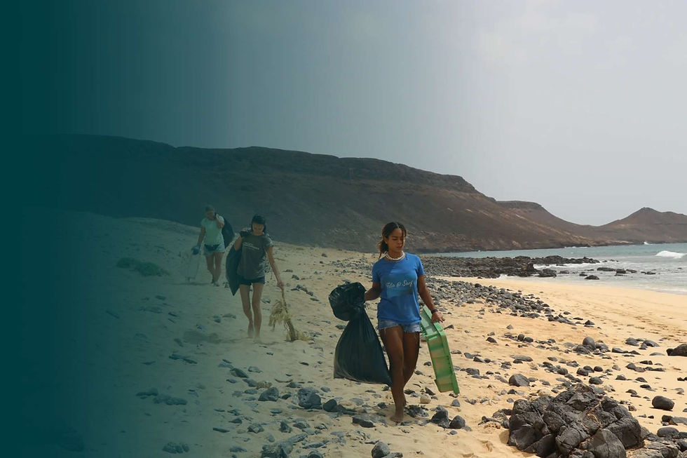 beach cleanup - Project BIO.jpg