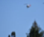 DSC_7744_edited.jpg