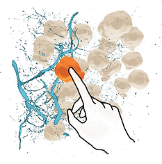 Diagram of a person selecting a cell in a mixed reality 3D tissue map by touching it with their index finger.