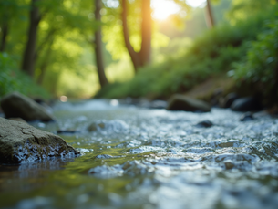 Overcoming Burnout: The Role of Somatic Paradigms