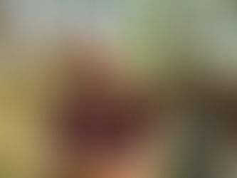 Jak zněly zvuky středověku a renesance? Přednáška Davida Zimy představí zvuky minulosti.