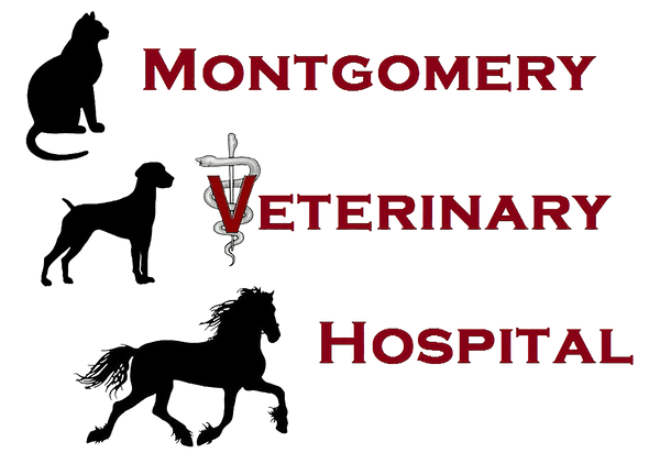 emergency vet on montgomery