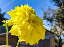 IMG-20251118-WA0056