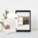mockup 1 (3).png